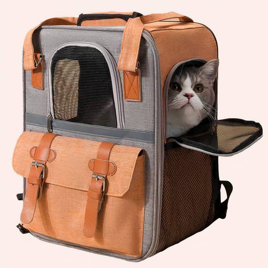Zaini Per Gatti