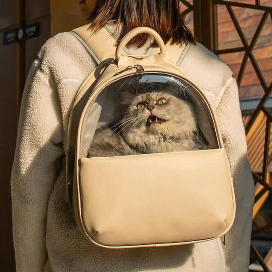 Zaino Trasparente Gatto Per Gatti